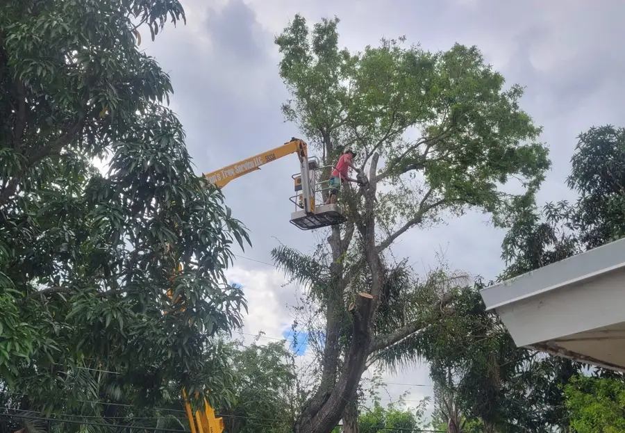 Commercial property in Palm City with professionally maintained trees and landscaping
