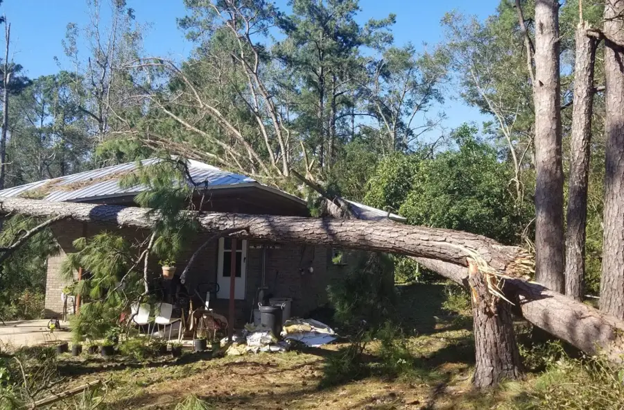 Large fallen tree resting on a house roof after a storm, the kind of damage Colton's Tree Service is called to clear