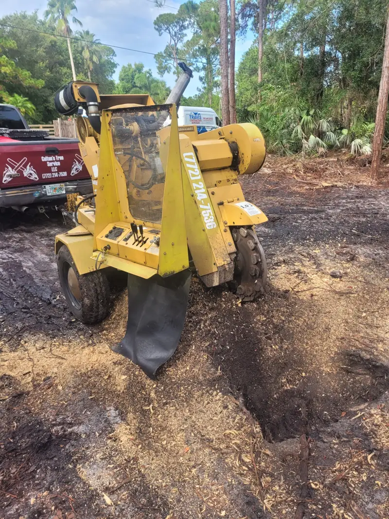 Stump grinding at a home in Palm City, Florida