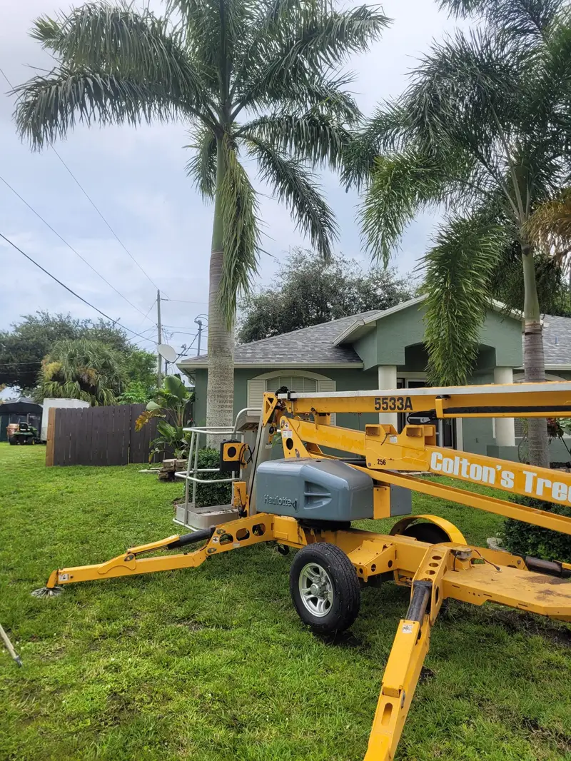 Tree service worker preparing to remove a tall palm tree in Palm City, Florida